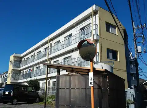 スカイハイムパピヨン