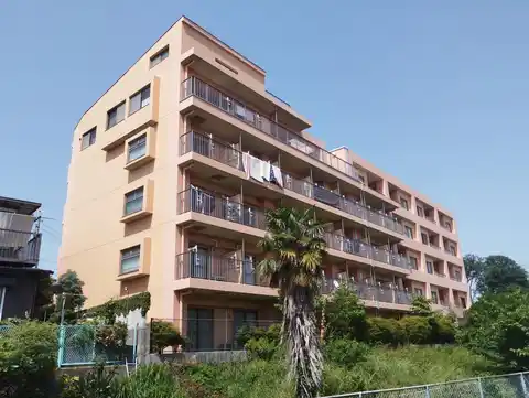 レスペディーザ柳崎