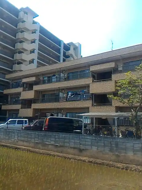 清水マンション