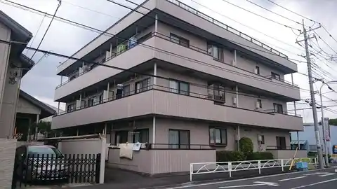 プリムローズ