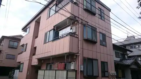 シティーサクラ