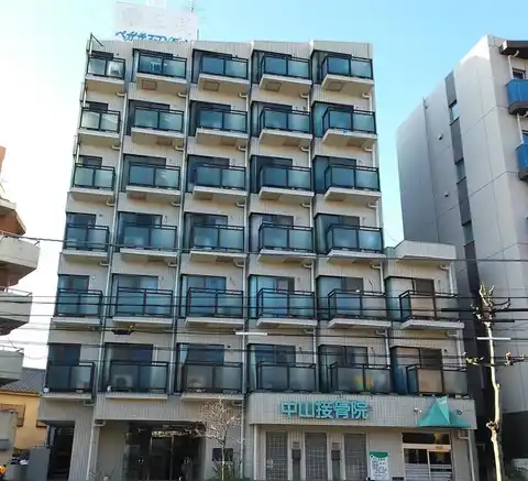ペガサスマンション白楽