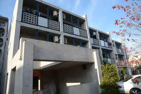 ビッグウィル