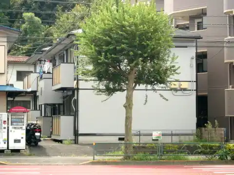 アネックス東伏見