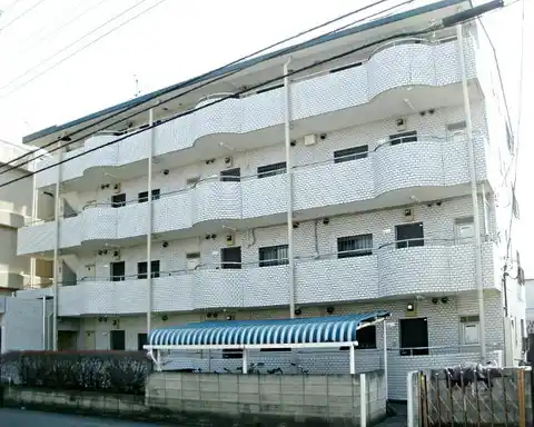 パーシモン