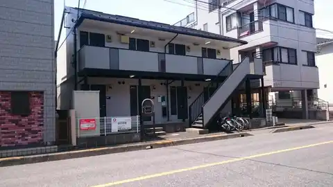 メープルリーフ