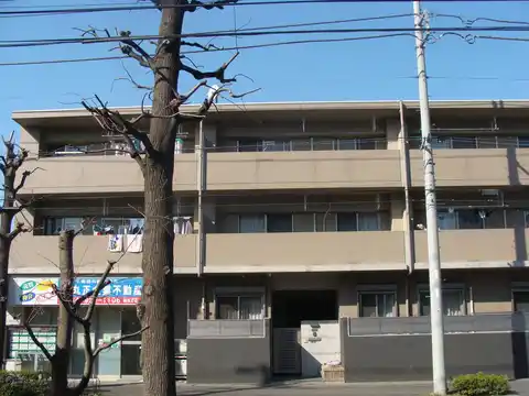 グレイス ファイン