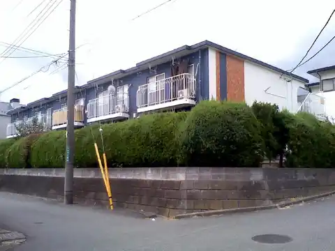 サンホワイトA203
