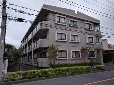 パレMA