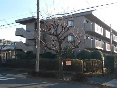 ヴェルドミール