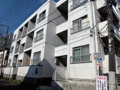 ヒルスミキ大船