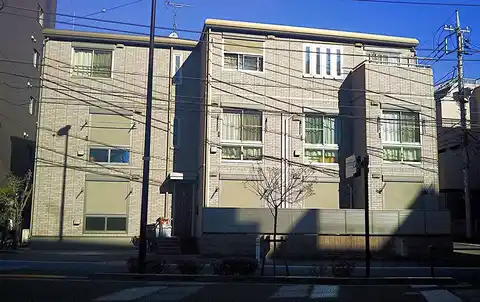 CERISIER CHOFU