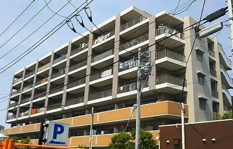 サンクレイドル桜街道