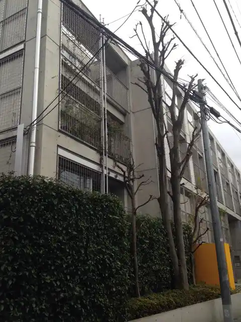 RefugeOginoForestN
