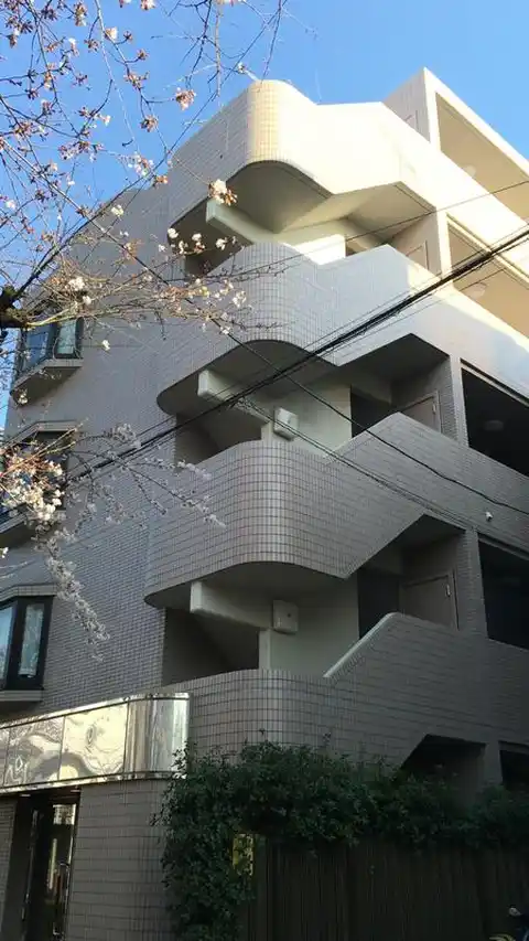 シティ深沢