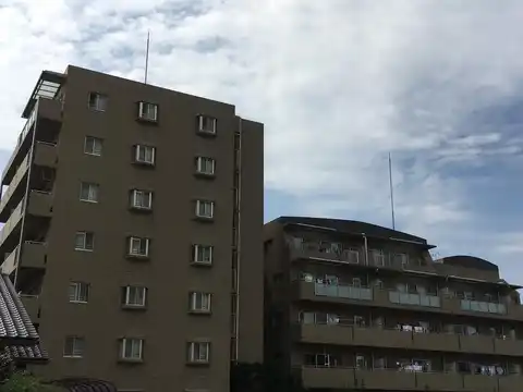 デセンシア柏