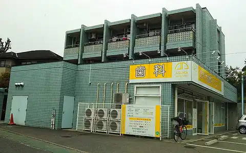 セレッソセルバ