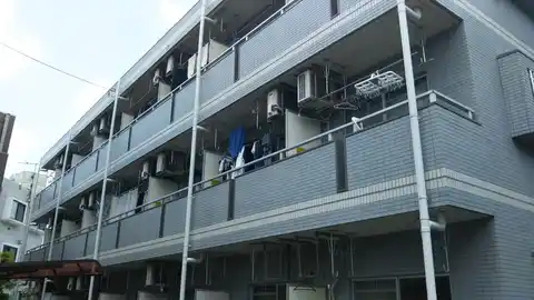 コスモ24