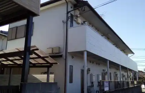 ハウスカツラ