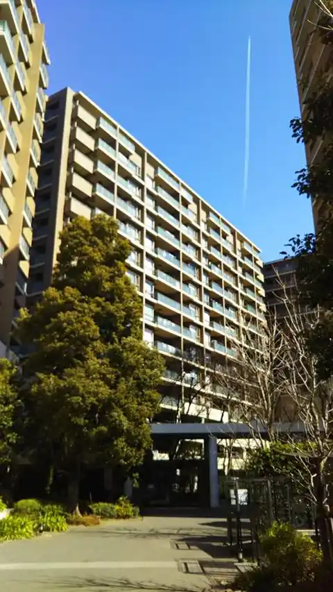 東京テラスHテラス
