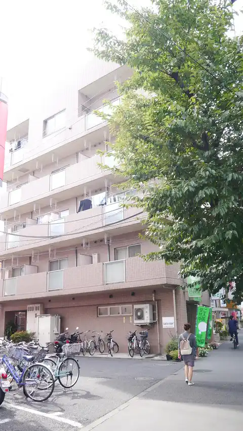 MIDORI