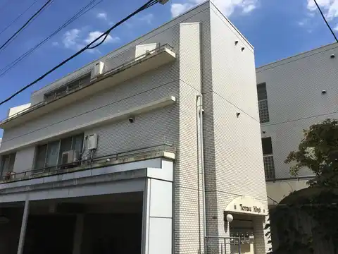 テラスキキョウ
