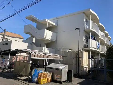 プラシード和泉
