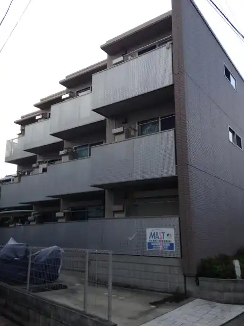 サニータカセイ