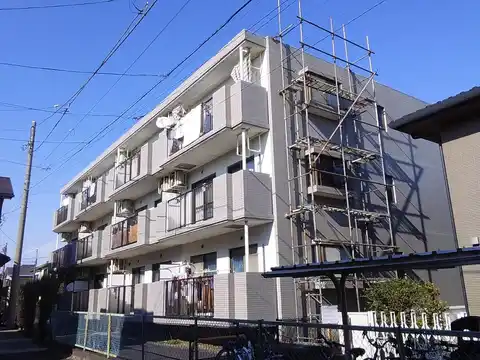 フローラ33