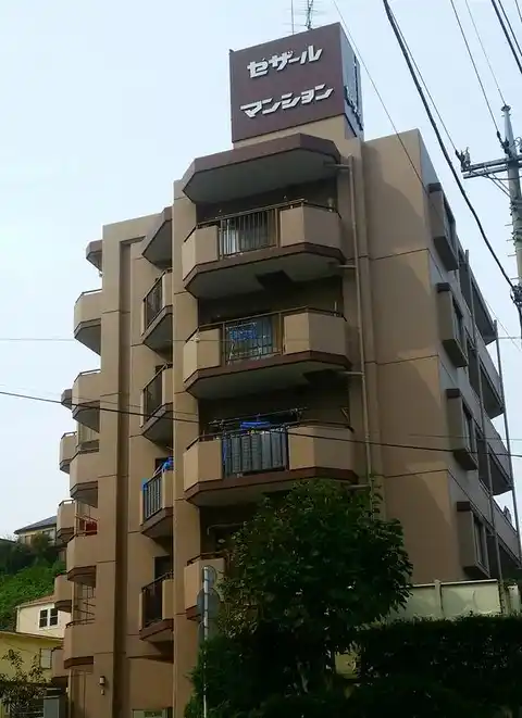 セザール梶ケ谷