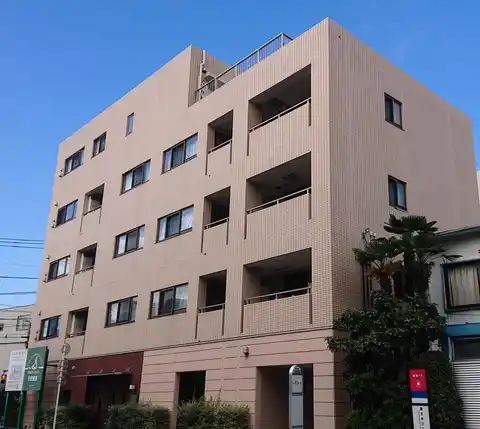 オリーブ