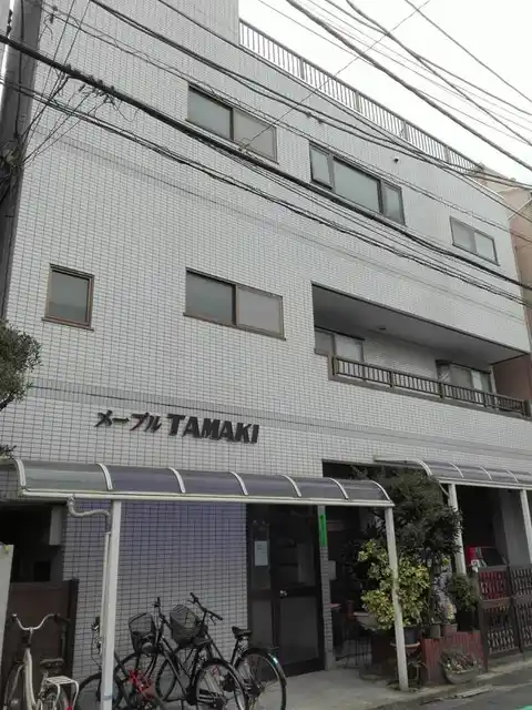 メープルタマキ
