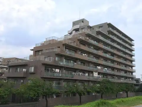 レックス市川