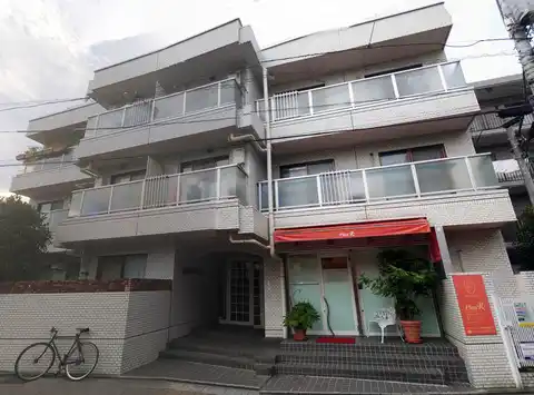 ビーネサイネリア