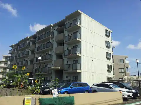 エクセル清新