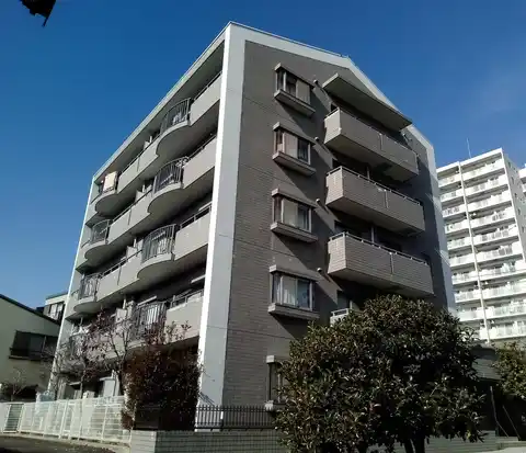 コート・花みずき
