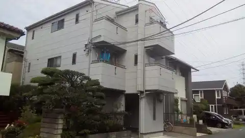 シルバードルフィン