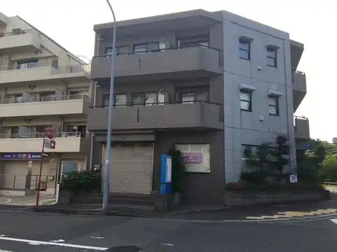 HIGH GROUND MANSION