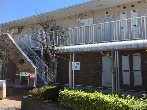 オリーブ1