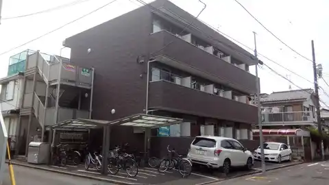 セレーナ・K