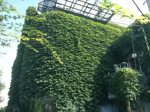 メリアンハイツ目白