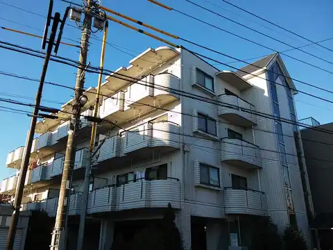 パレスフリージア