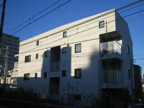 セレソンスギタ