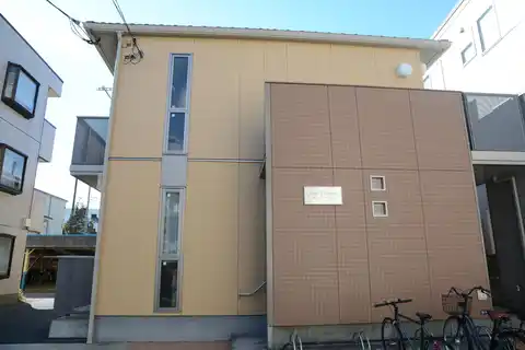 コートプルメリア