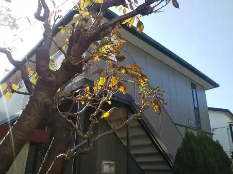 ラクール