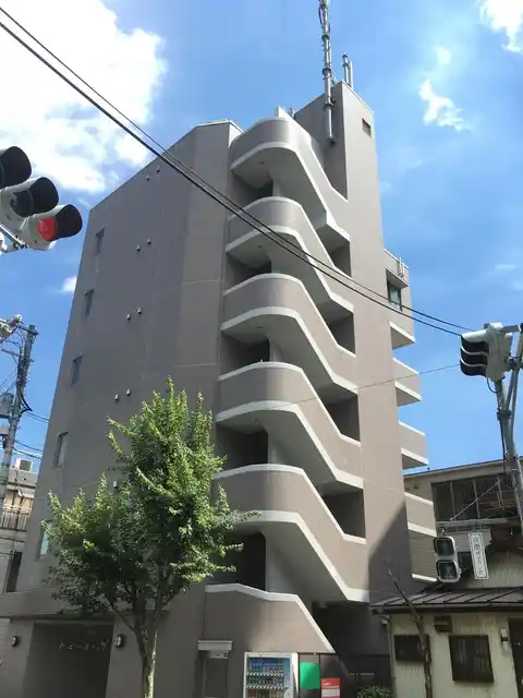 ドミール・S