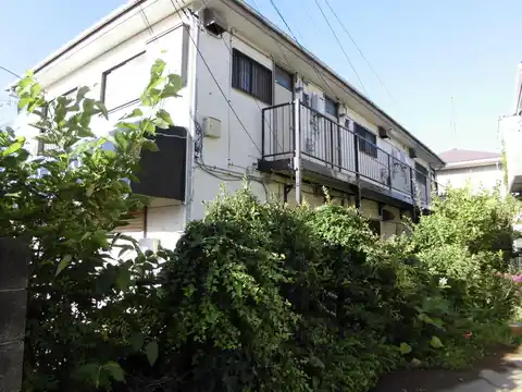コスモアオイ-3
