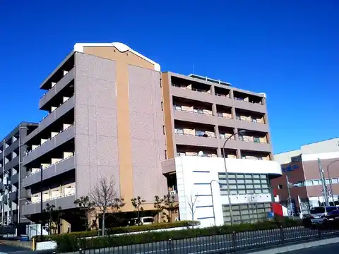 ケンブリッジアサカ