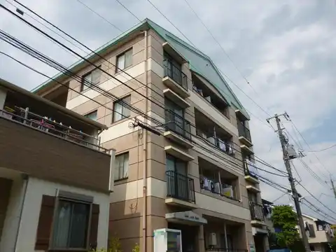 グリーンラピスオグラ
