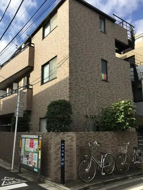 サニーバンブー